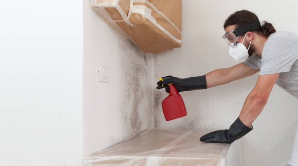 Professional Commercial Mold Remediation technician working in Machipongo, VA